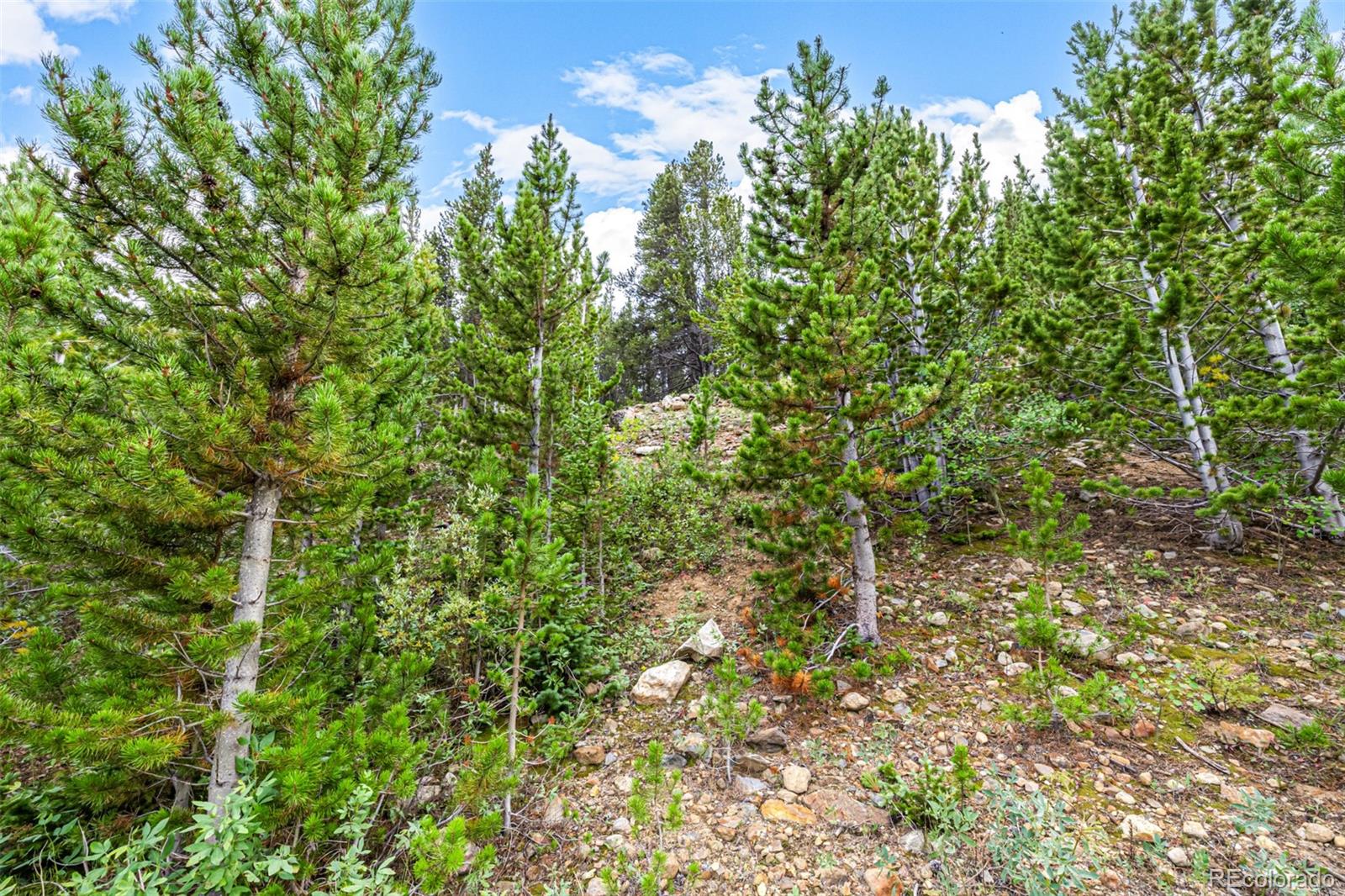 Aspen Road