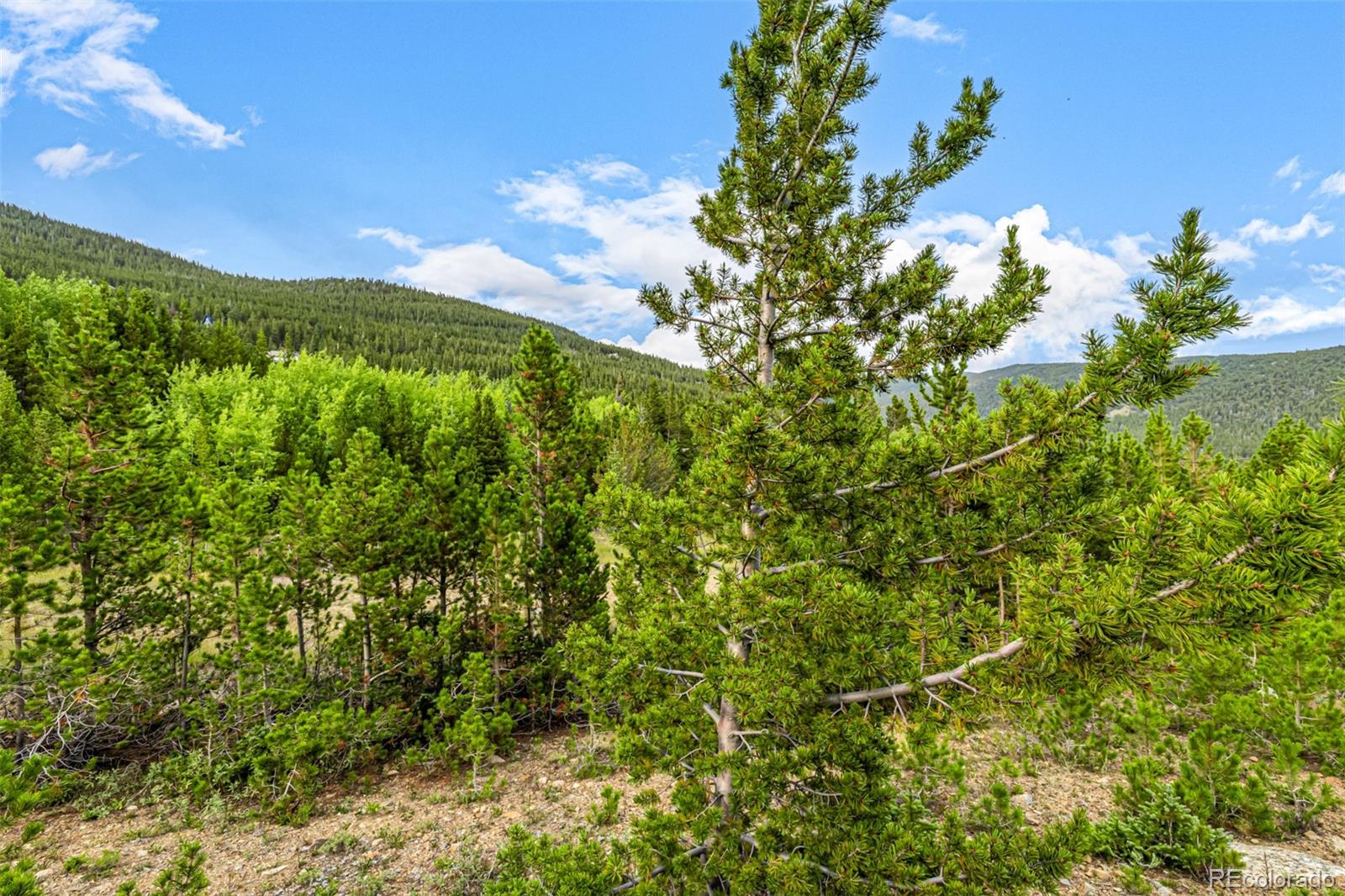 Aspen Road