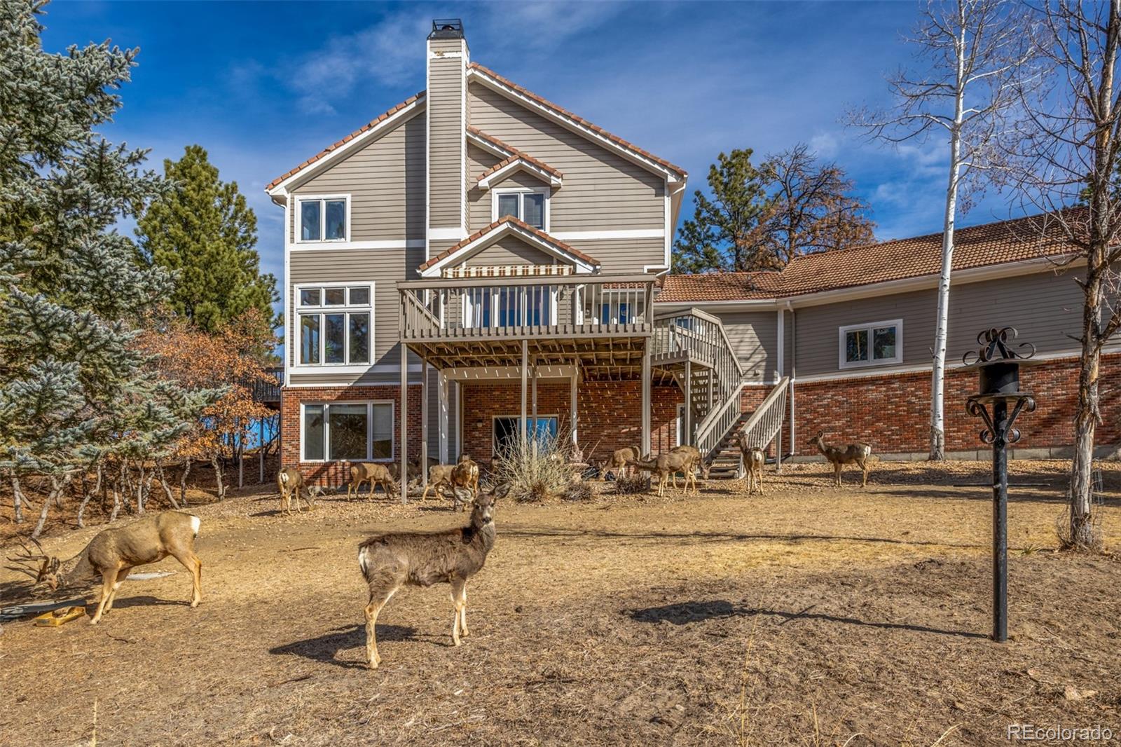 5953 Angie Court