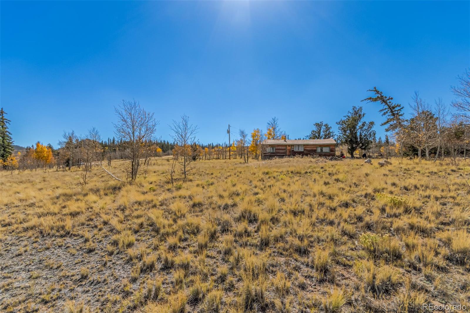 902 Cumberland Drive