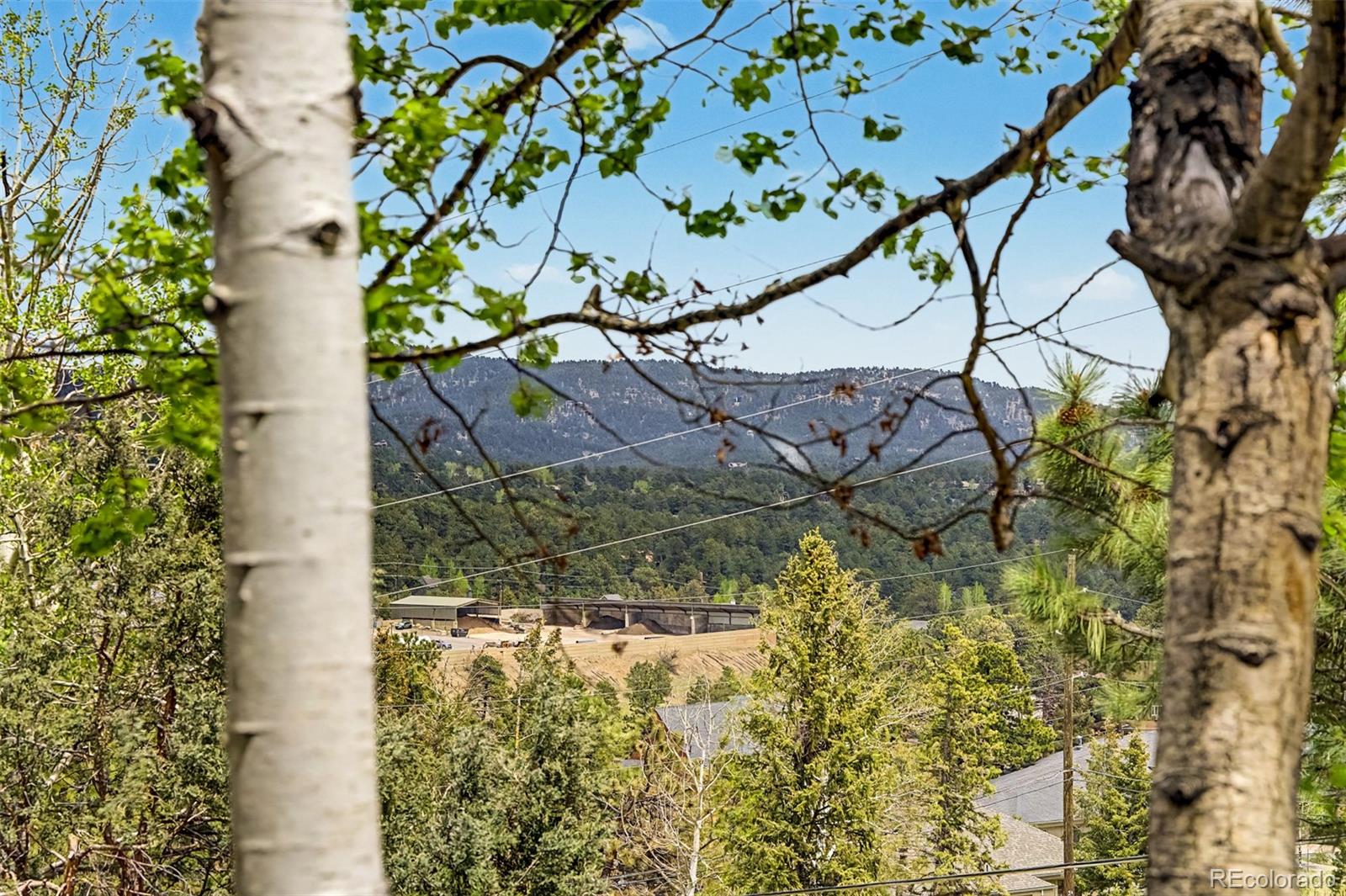 31270 John Wallace Road Unit: 305