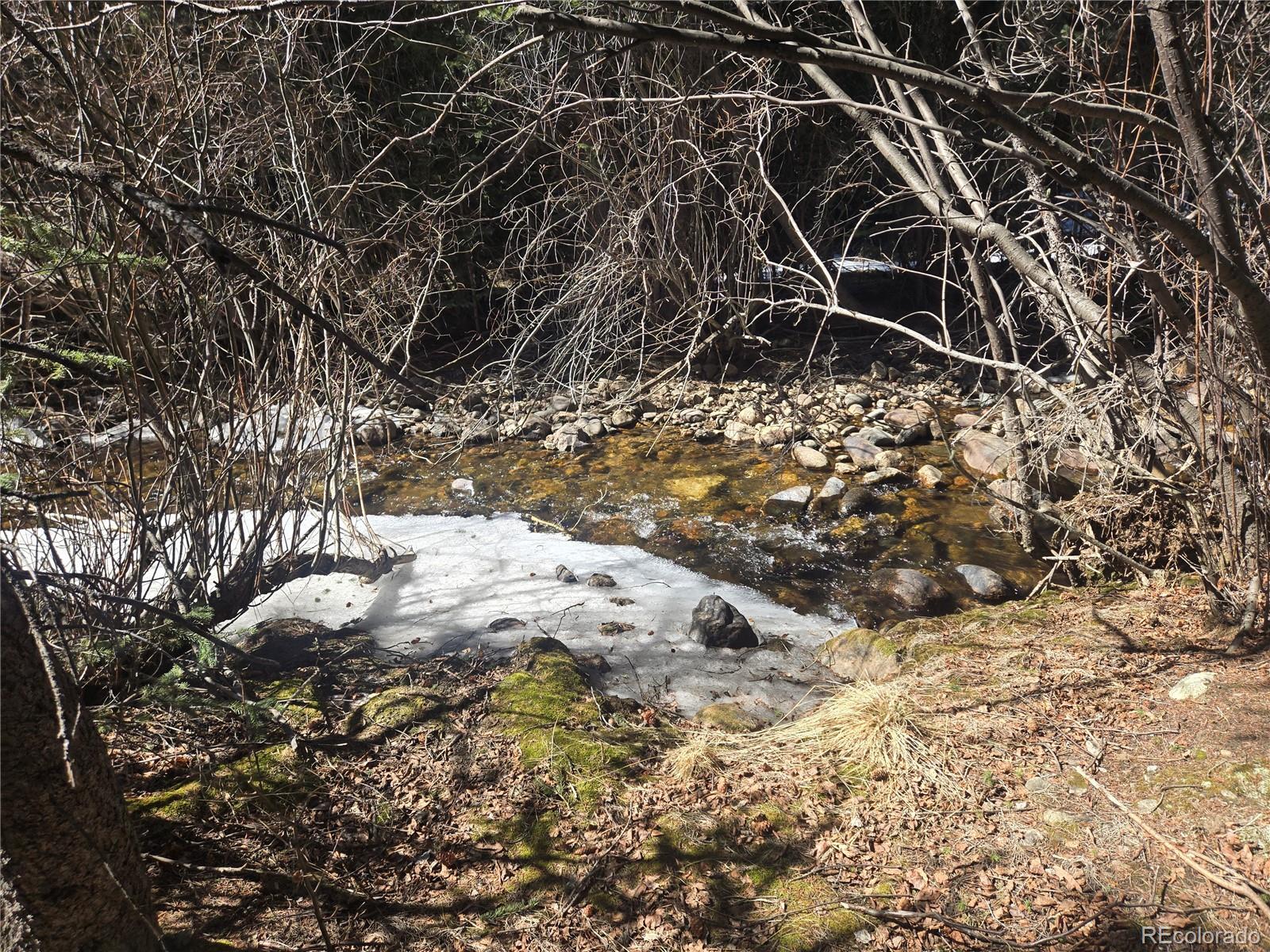 Fall River Road