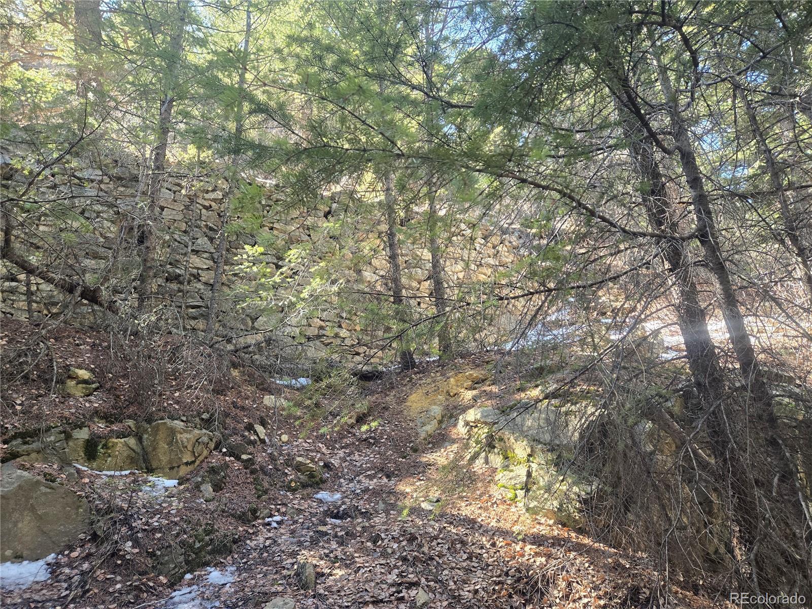Fall River Road