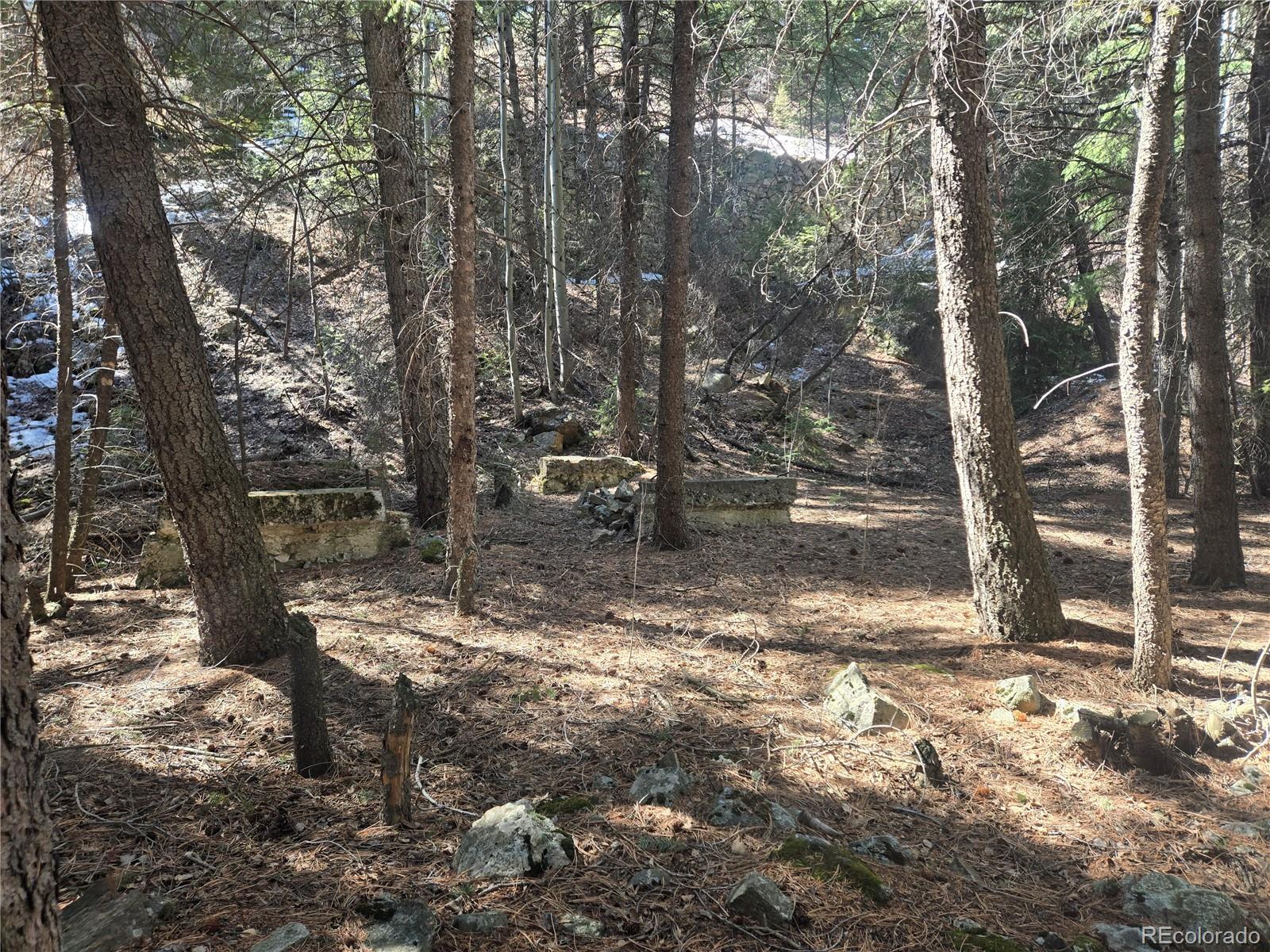 Fall River Road