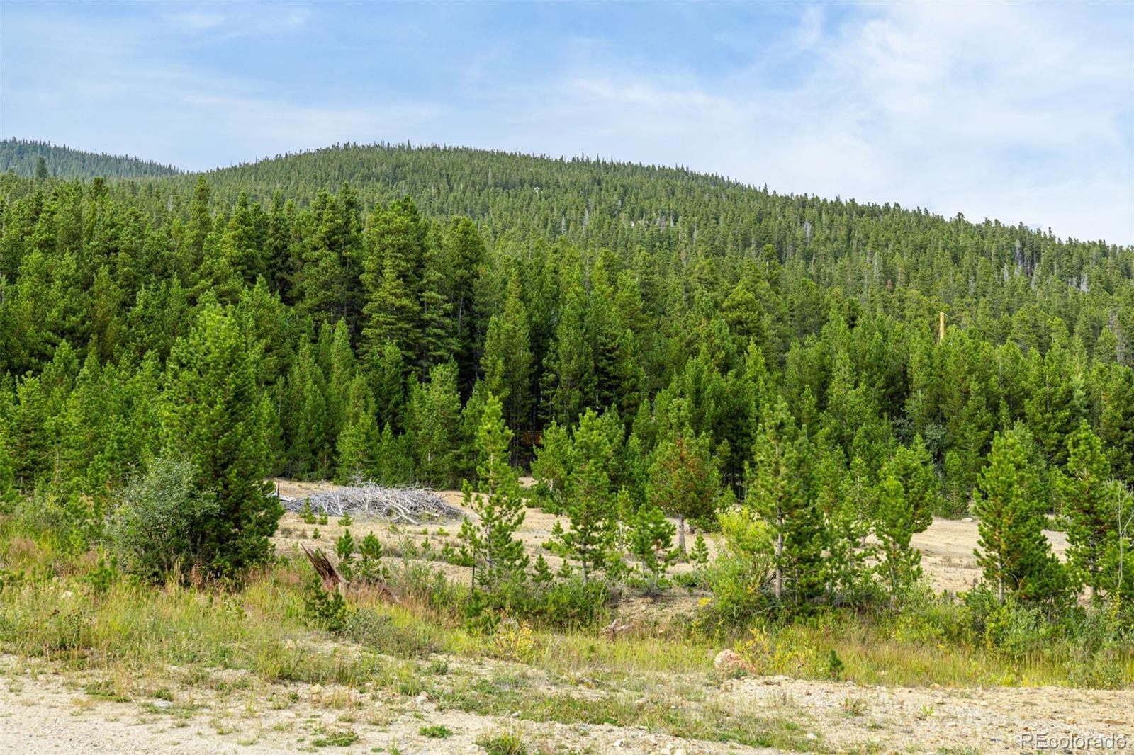Little Creek Road