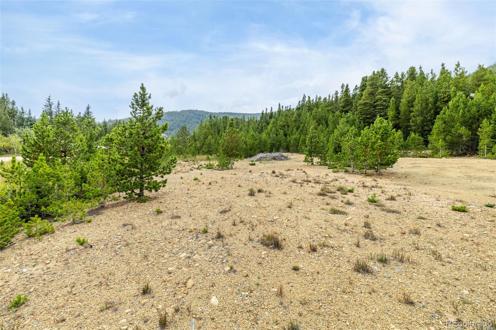 Little Creek Road