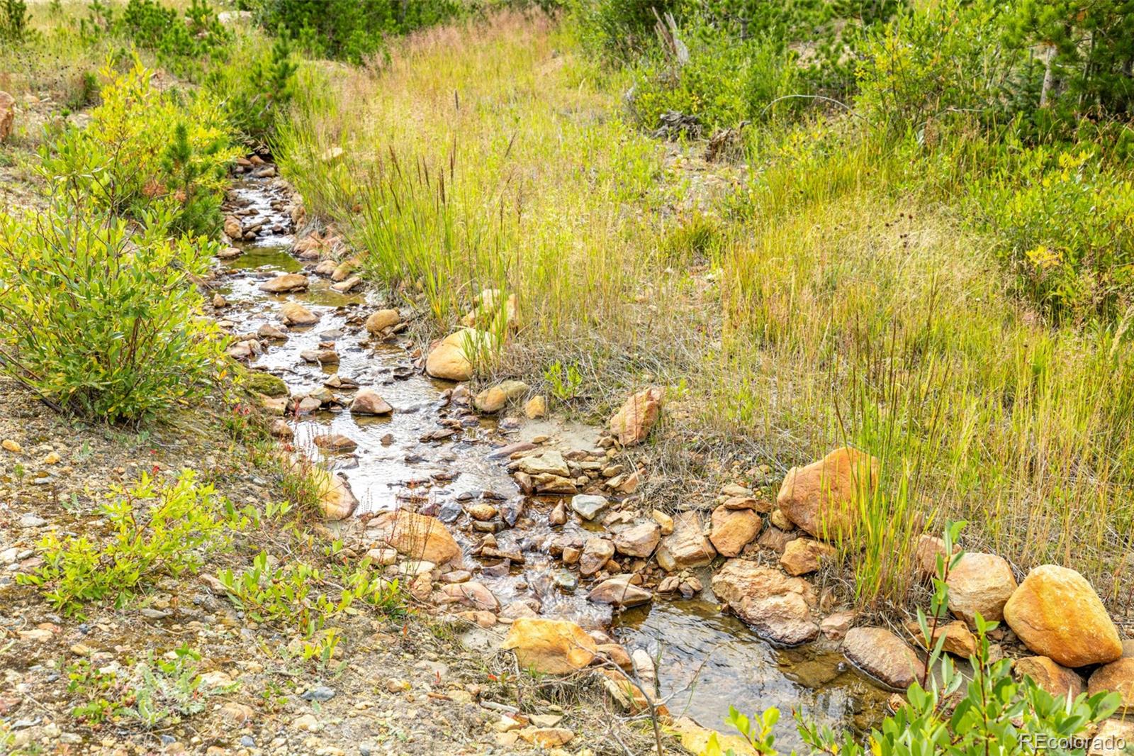 Little Creek Road