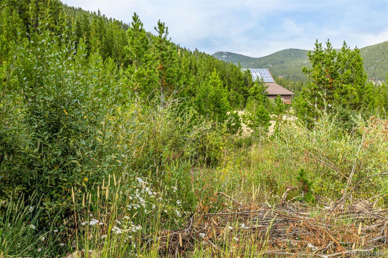 Little Creek Road