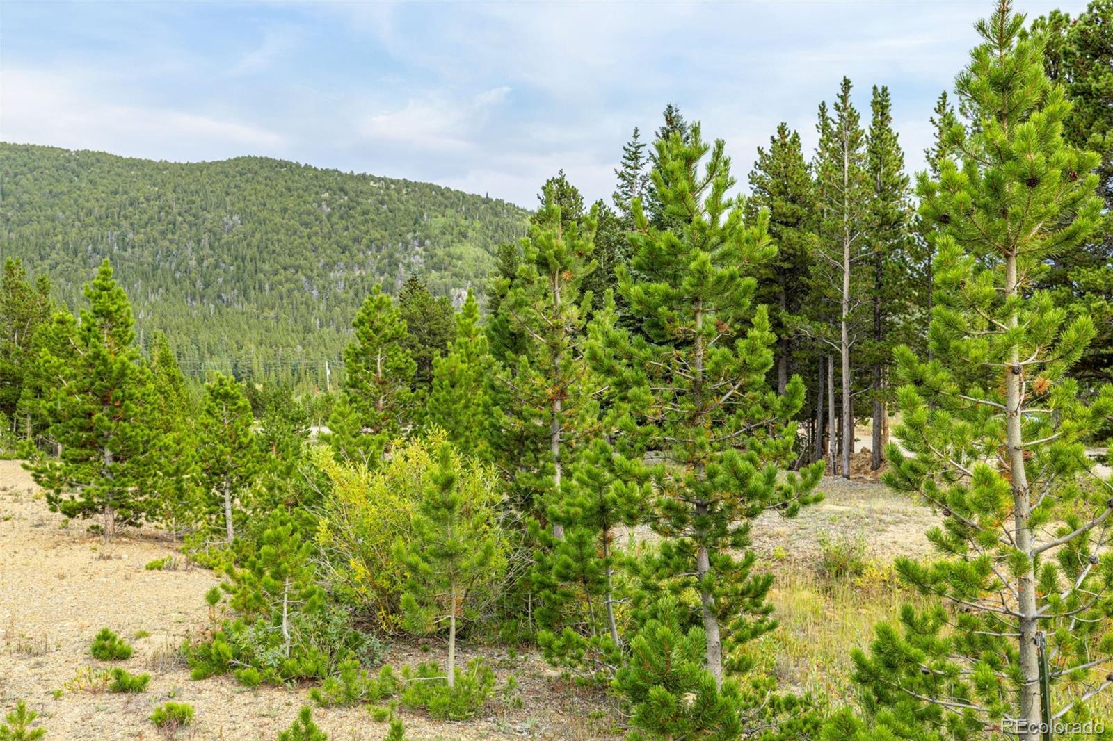 Little Creek Road