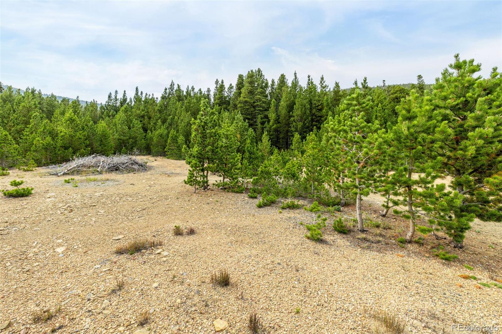 Little Creek Road