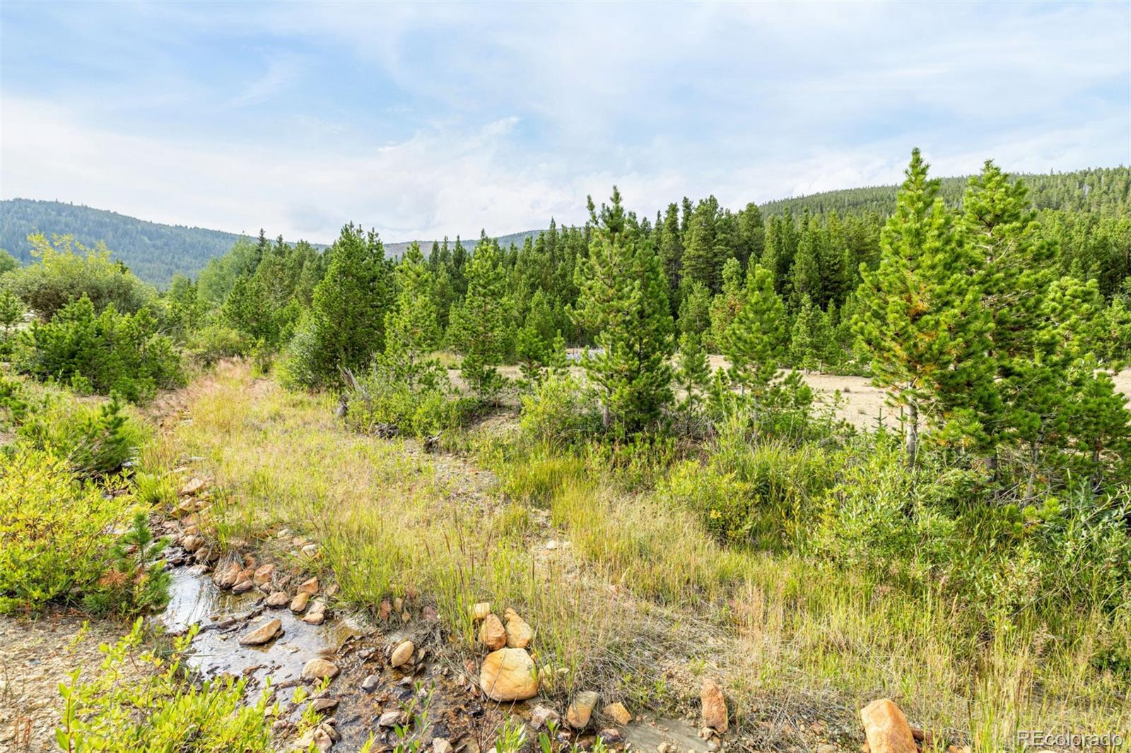 Little Creek Road