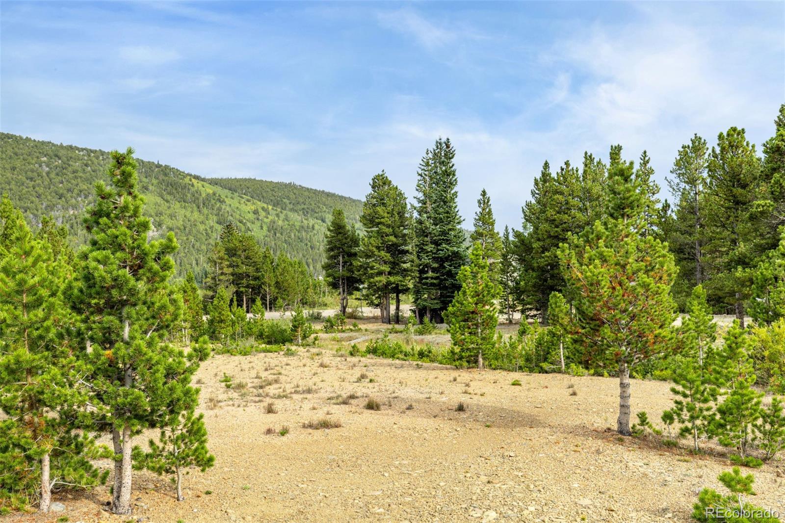 Little Creek Road
