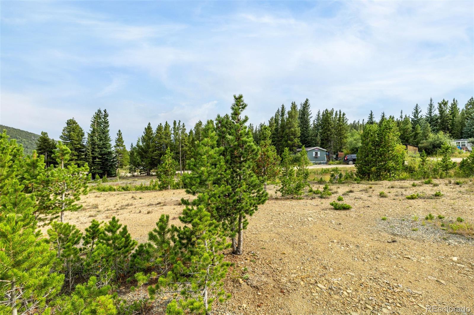 Little Creek Road