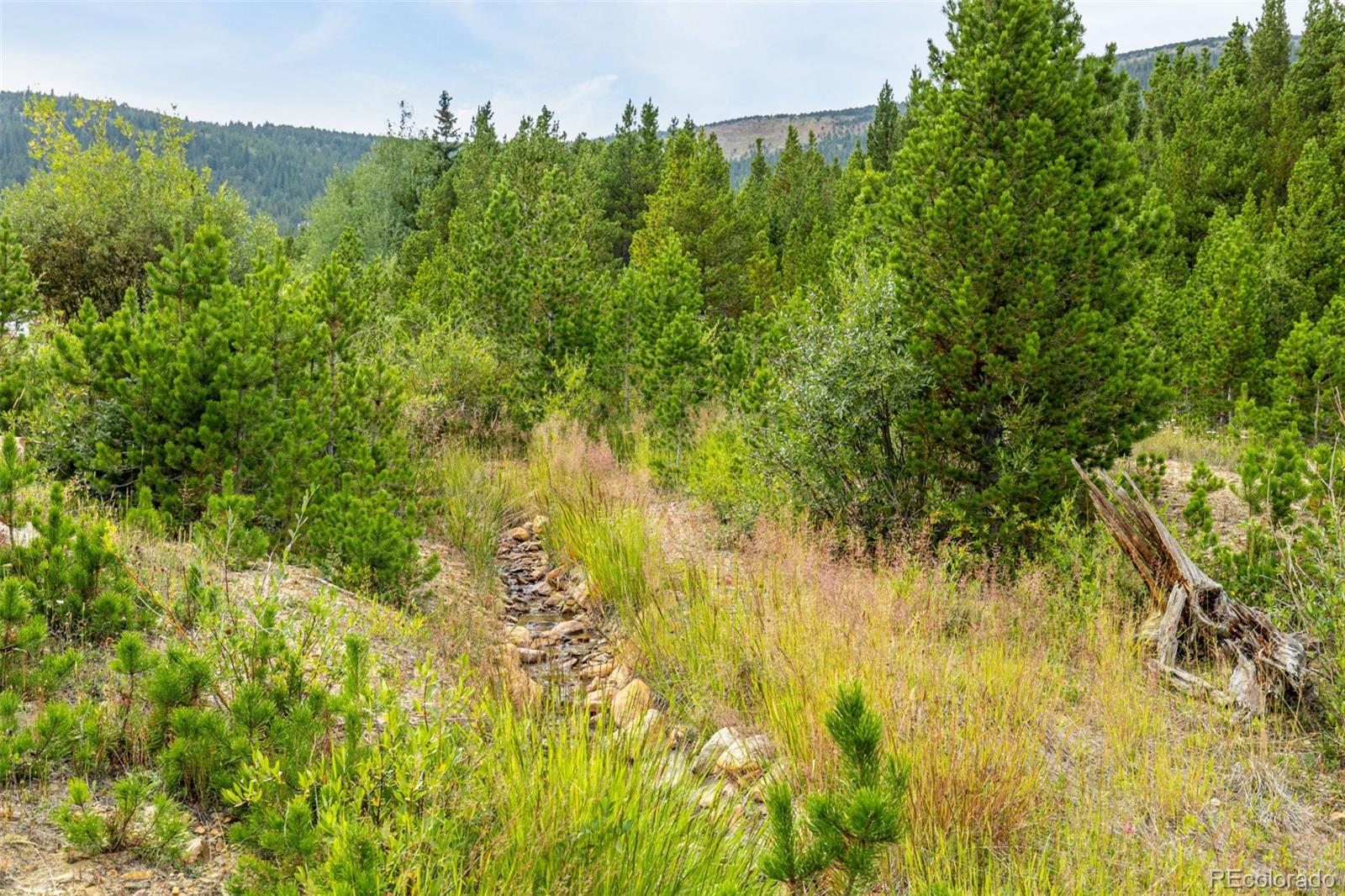 Little Creek Road