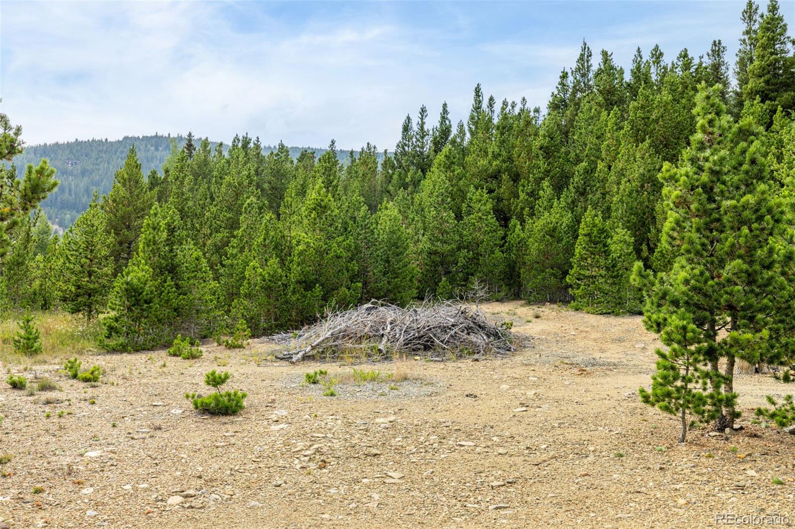 Little Creek Road