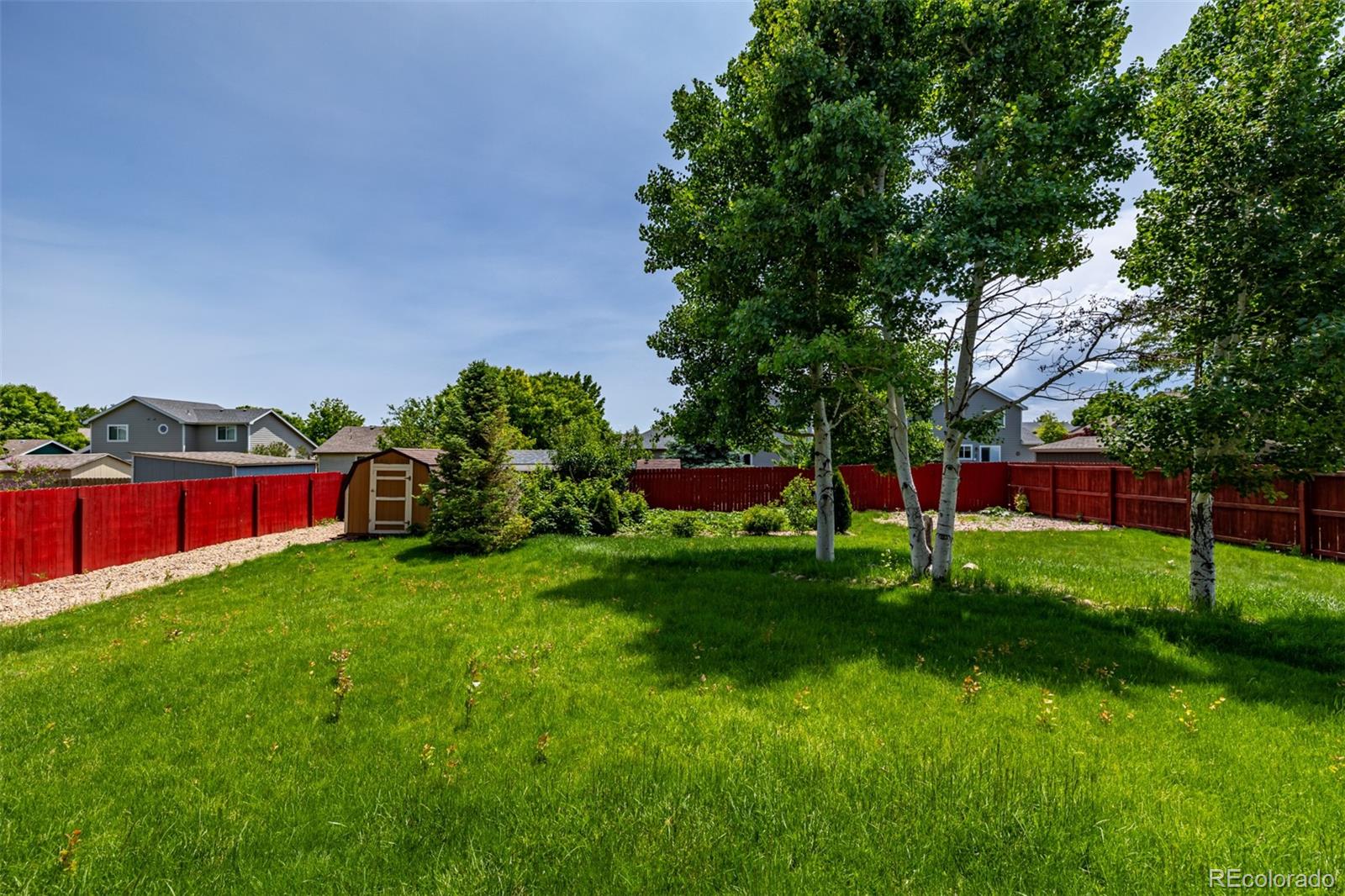 903 Cameron Drive