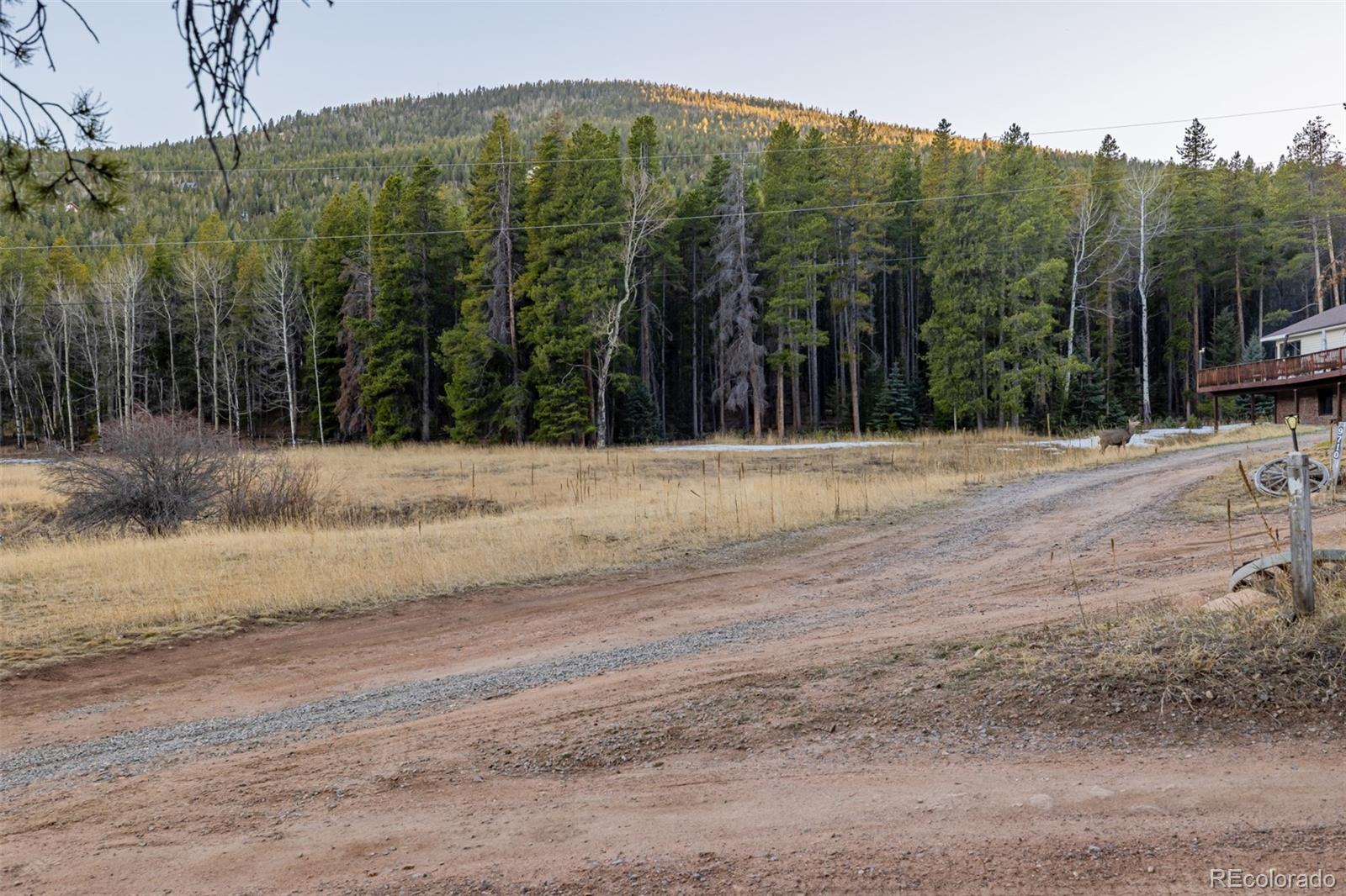 9719 Beaver Pond
