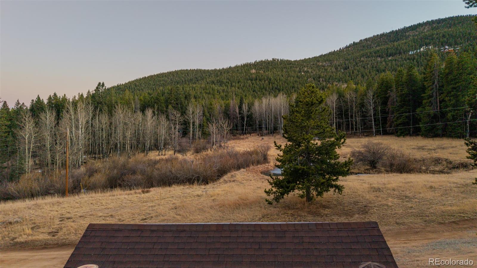 9719 Beaver Pond