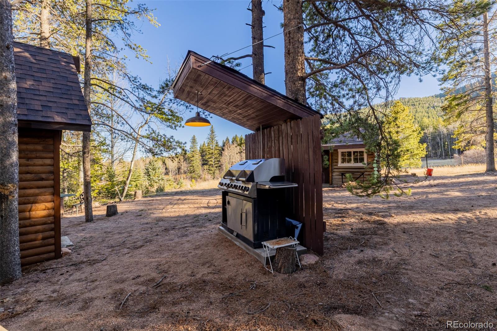 9719 Beaver Pond