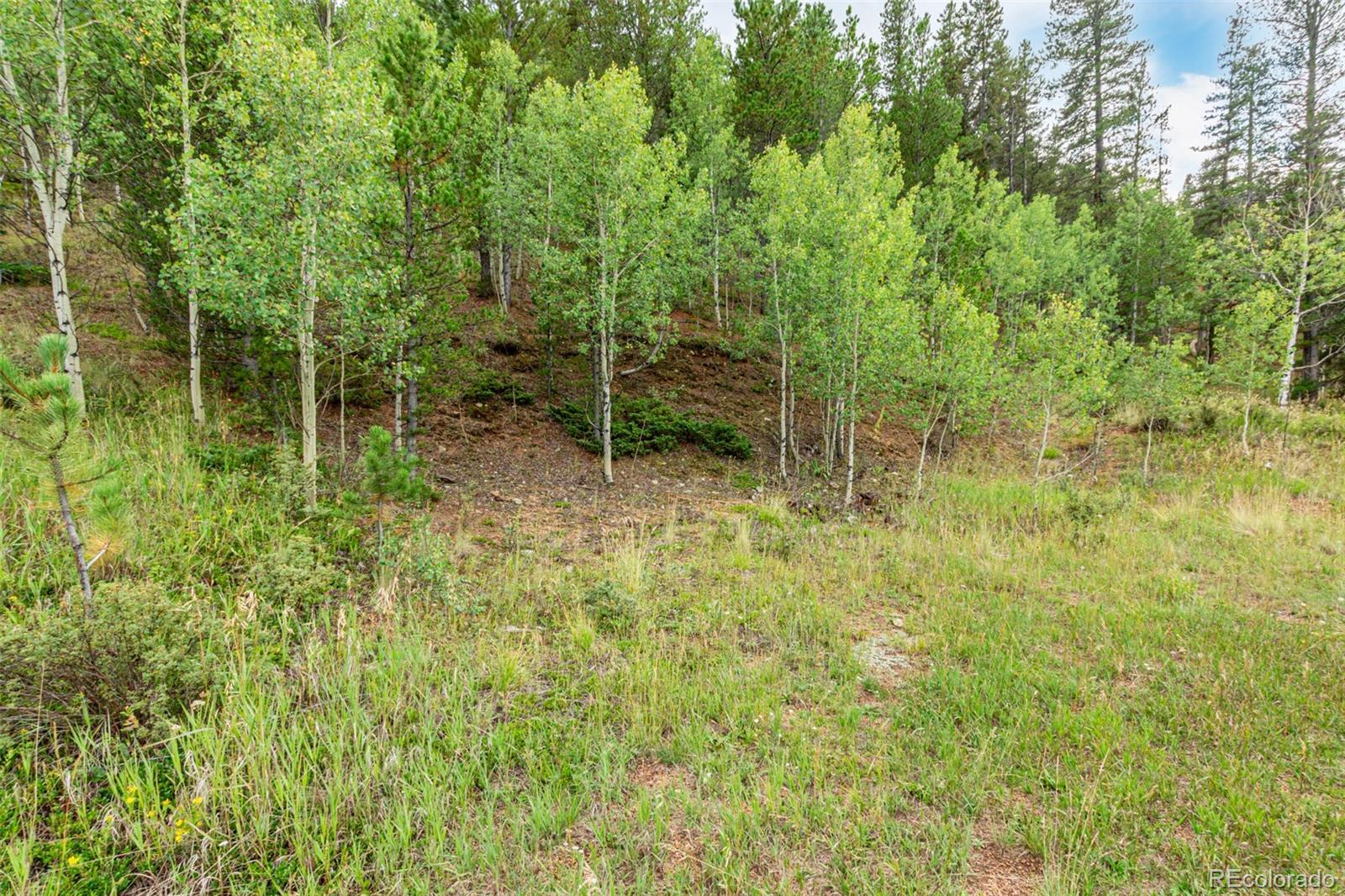 427 Wise Road