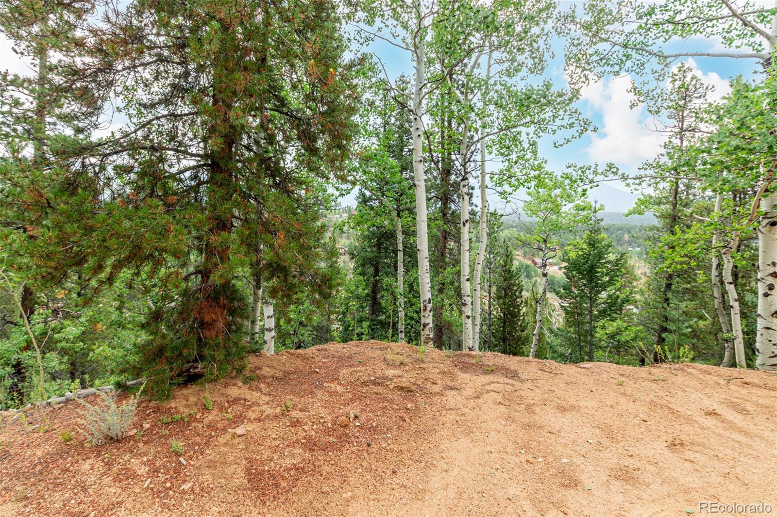 427 Wise Road