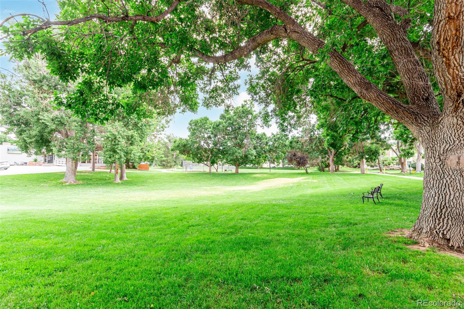 8335 Fairmount Drive Unit: 10-208