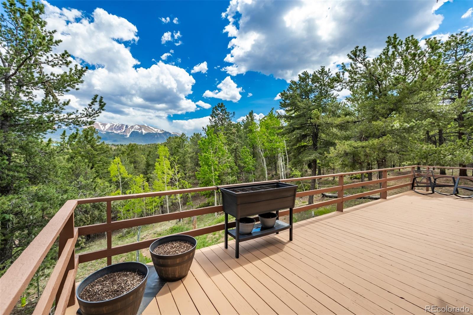 255 Elk Lane