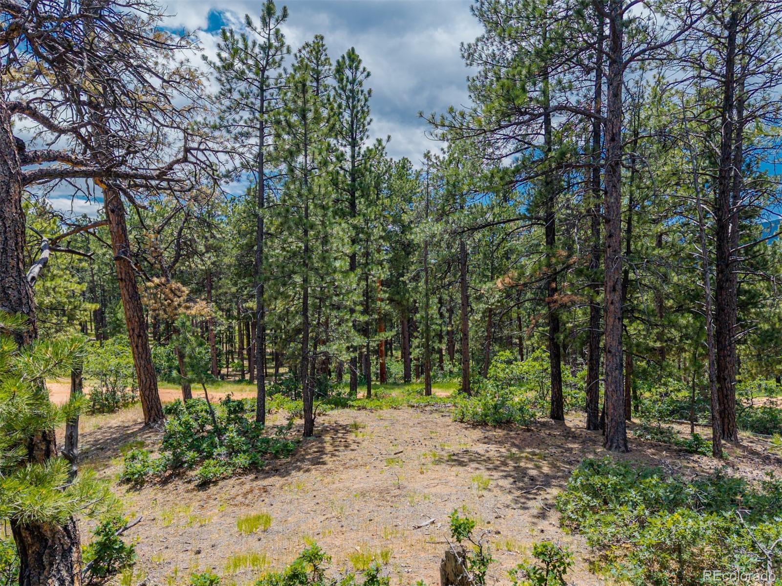 4485 Delaware Drive