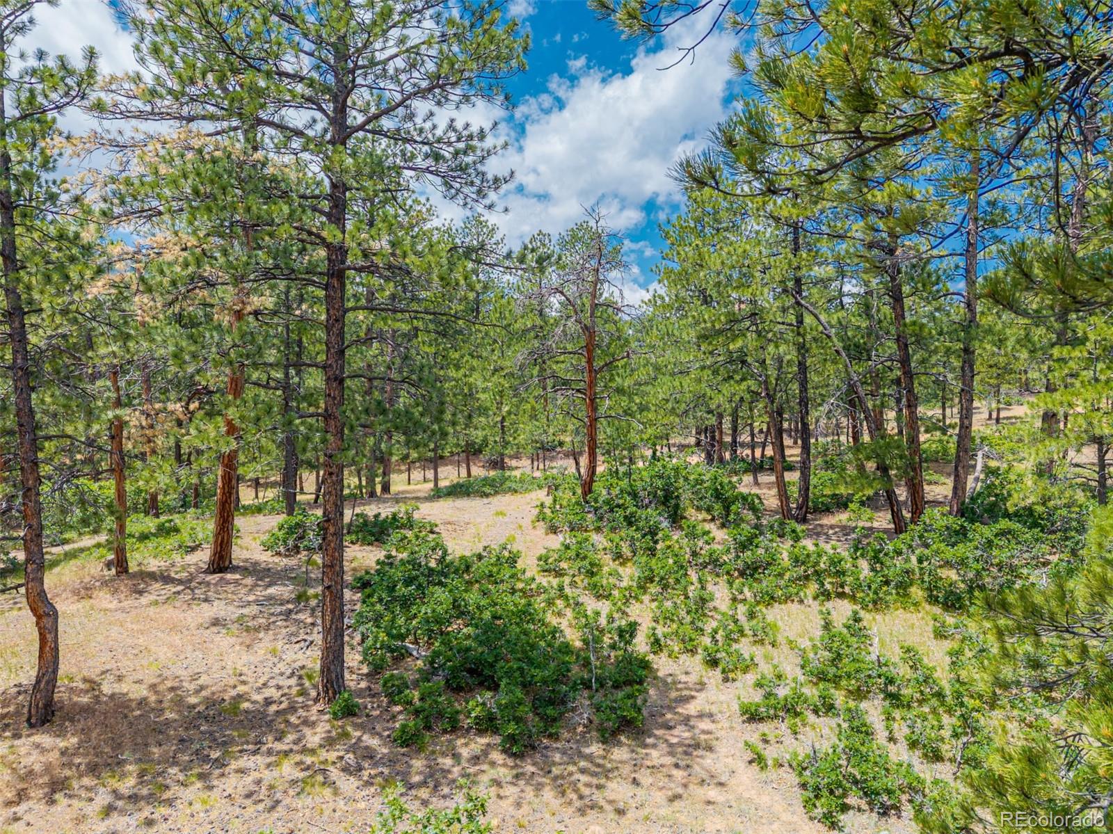 4485 Delaware Drive