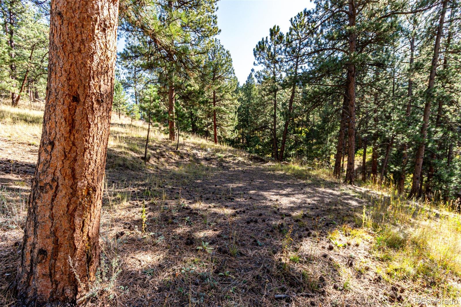 27406 Mountain Park Road