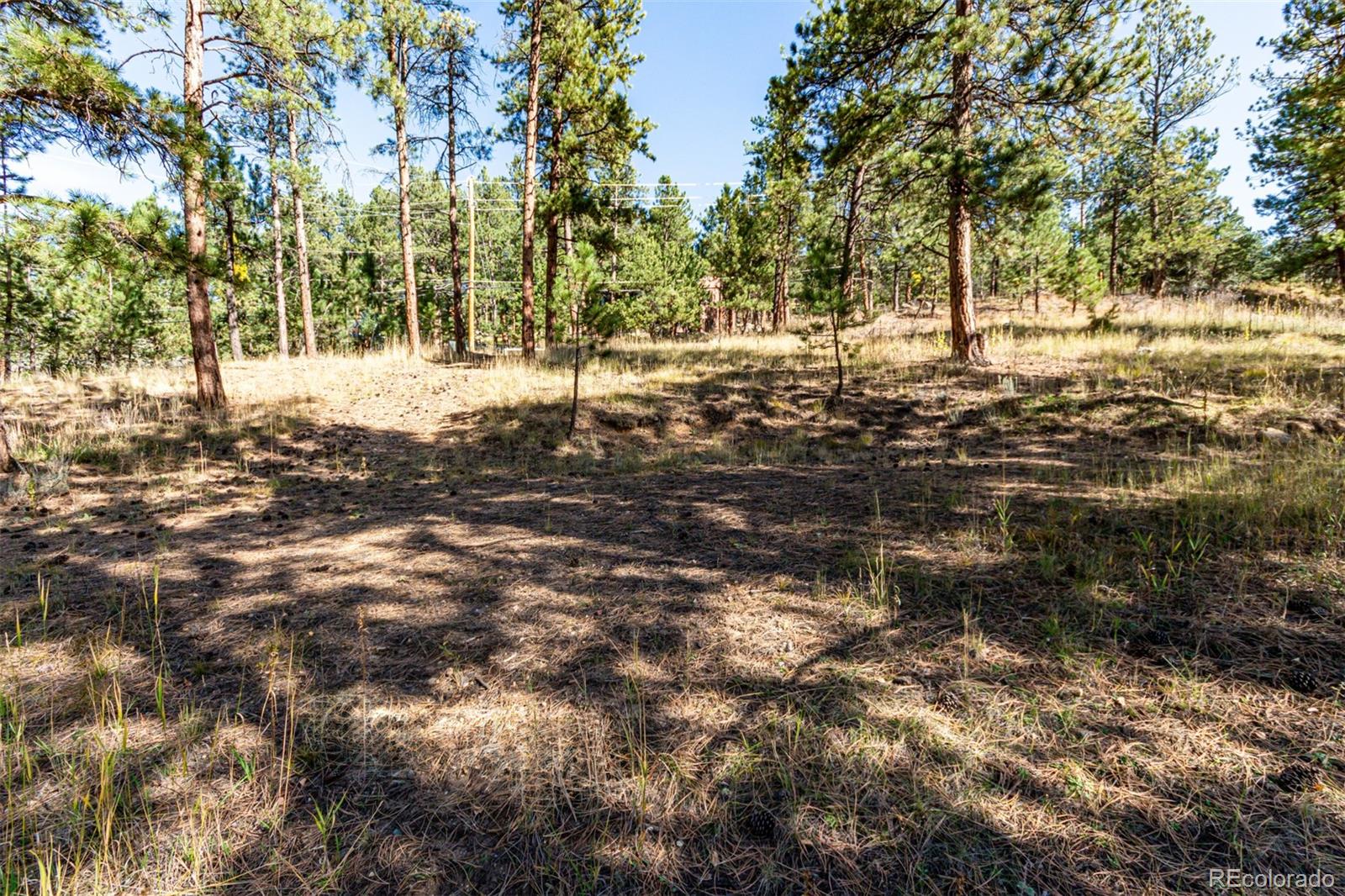 27406 Mountain Park Road