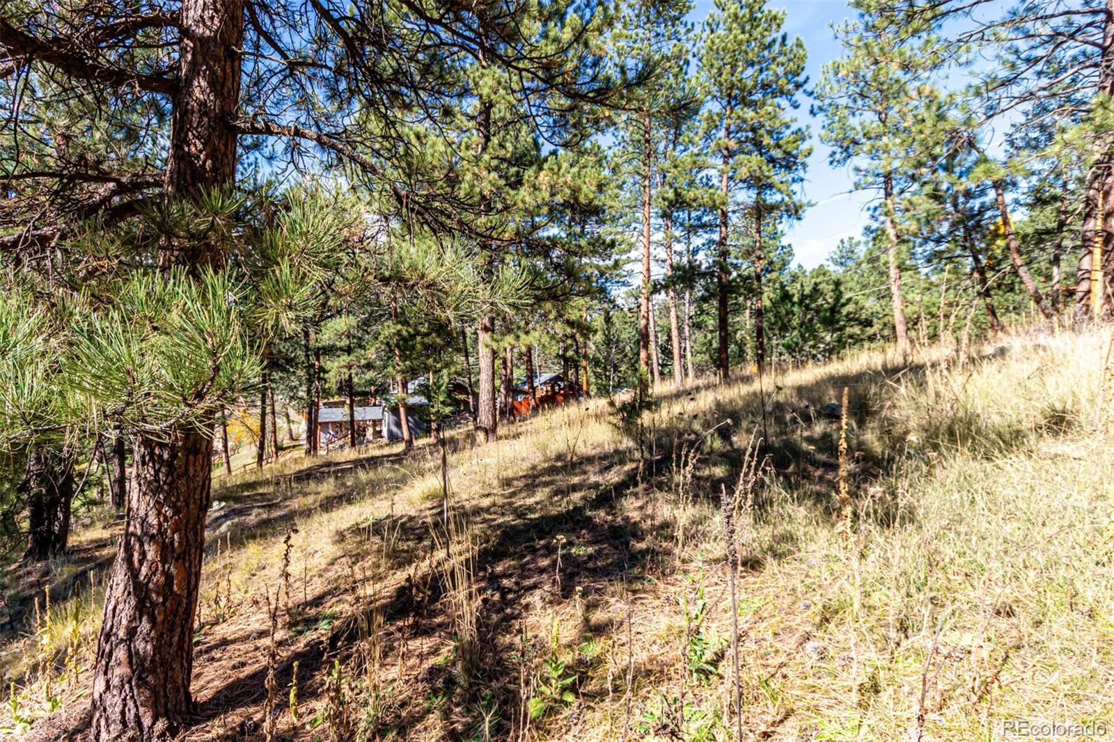27406 Mountain Park Road