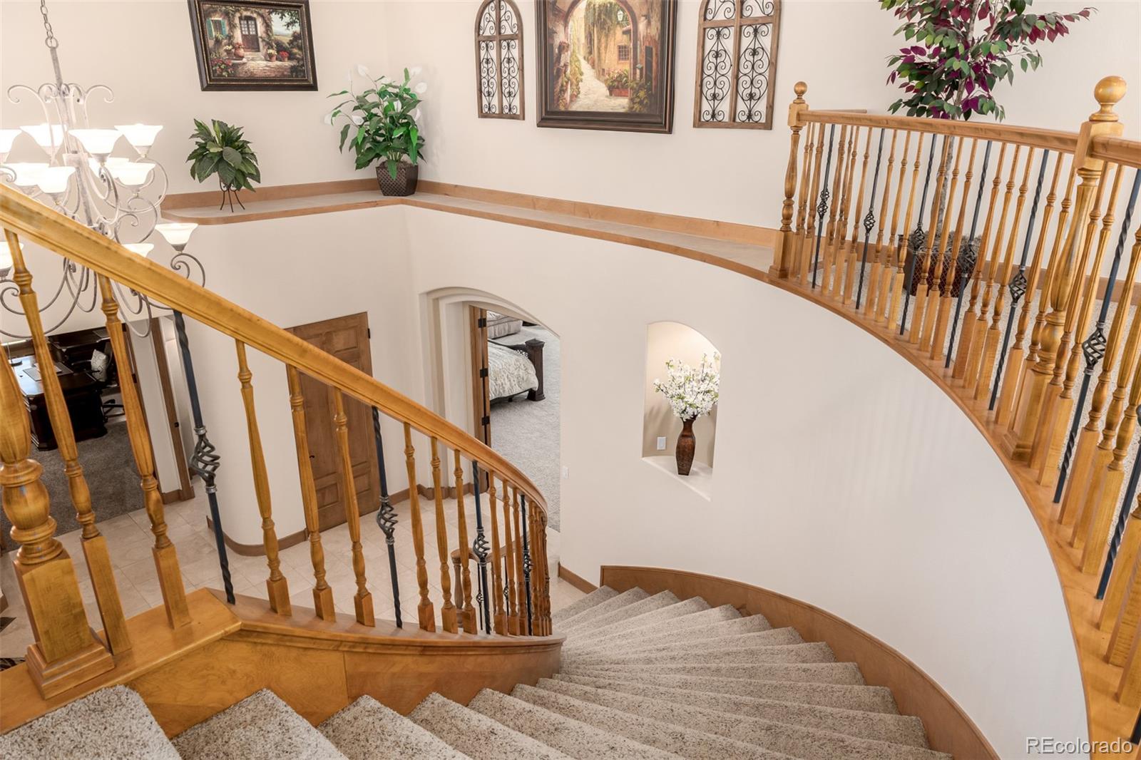 22554 Treetop Lane