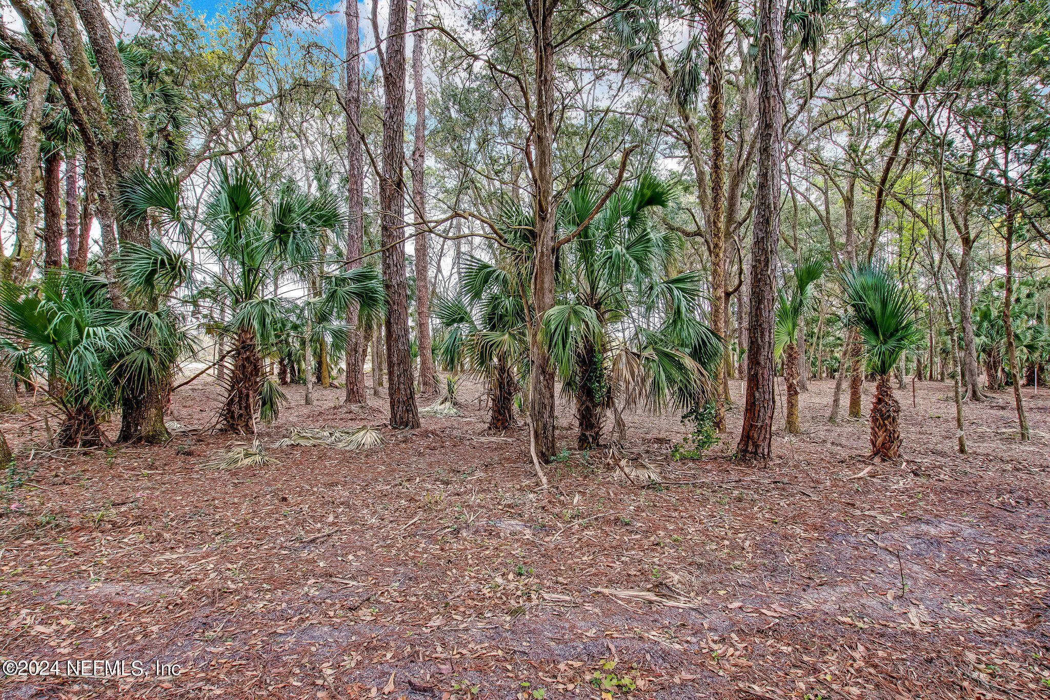 519 SHELL RIDGE Lane