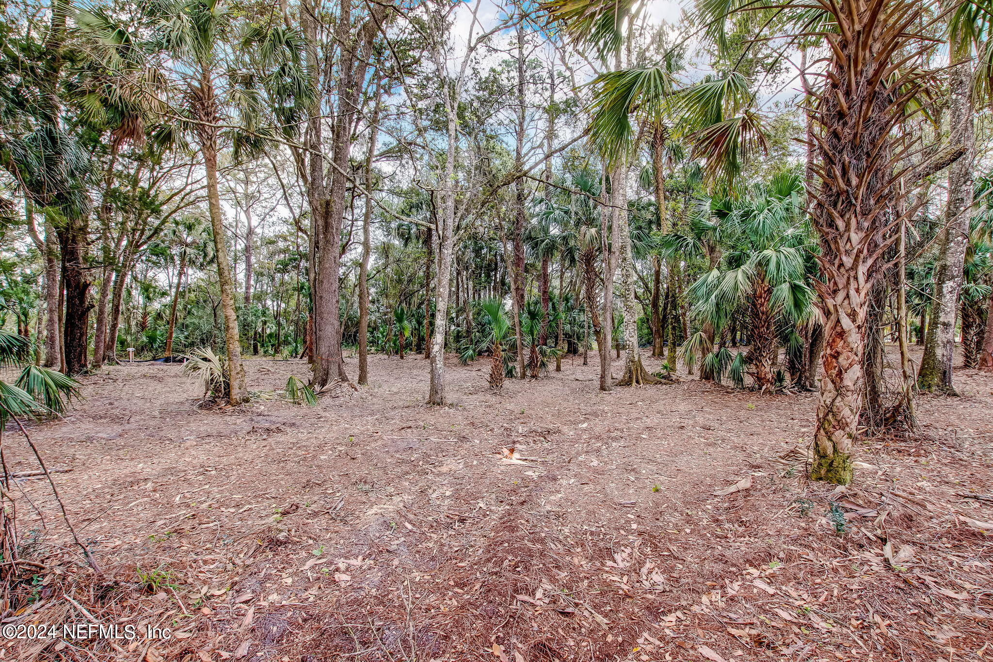 519 SHELL RIDGE Lane