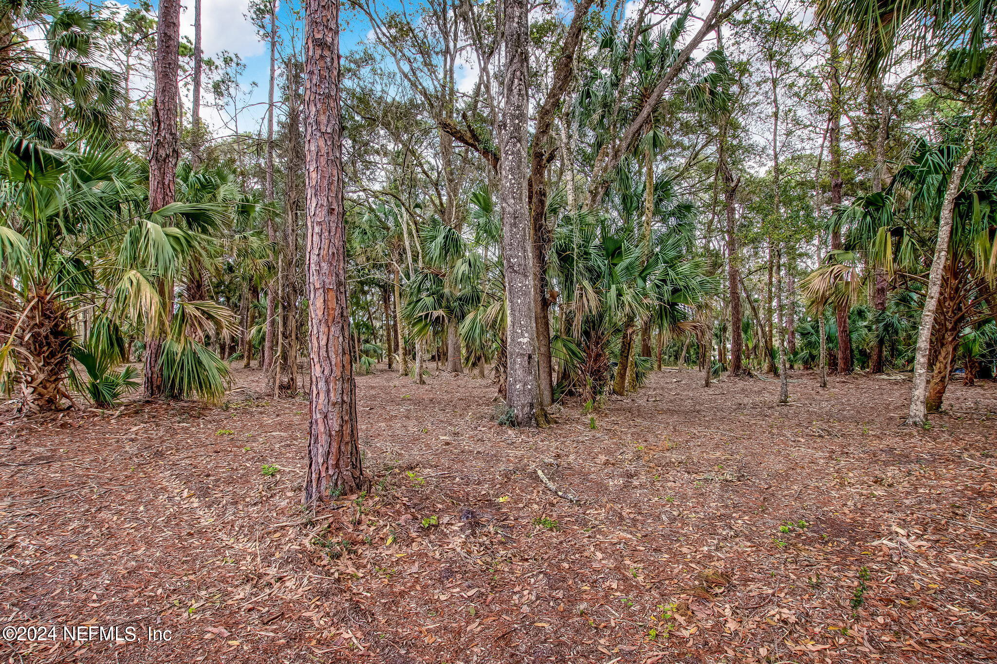 519 SHELL RIDGE Lane