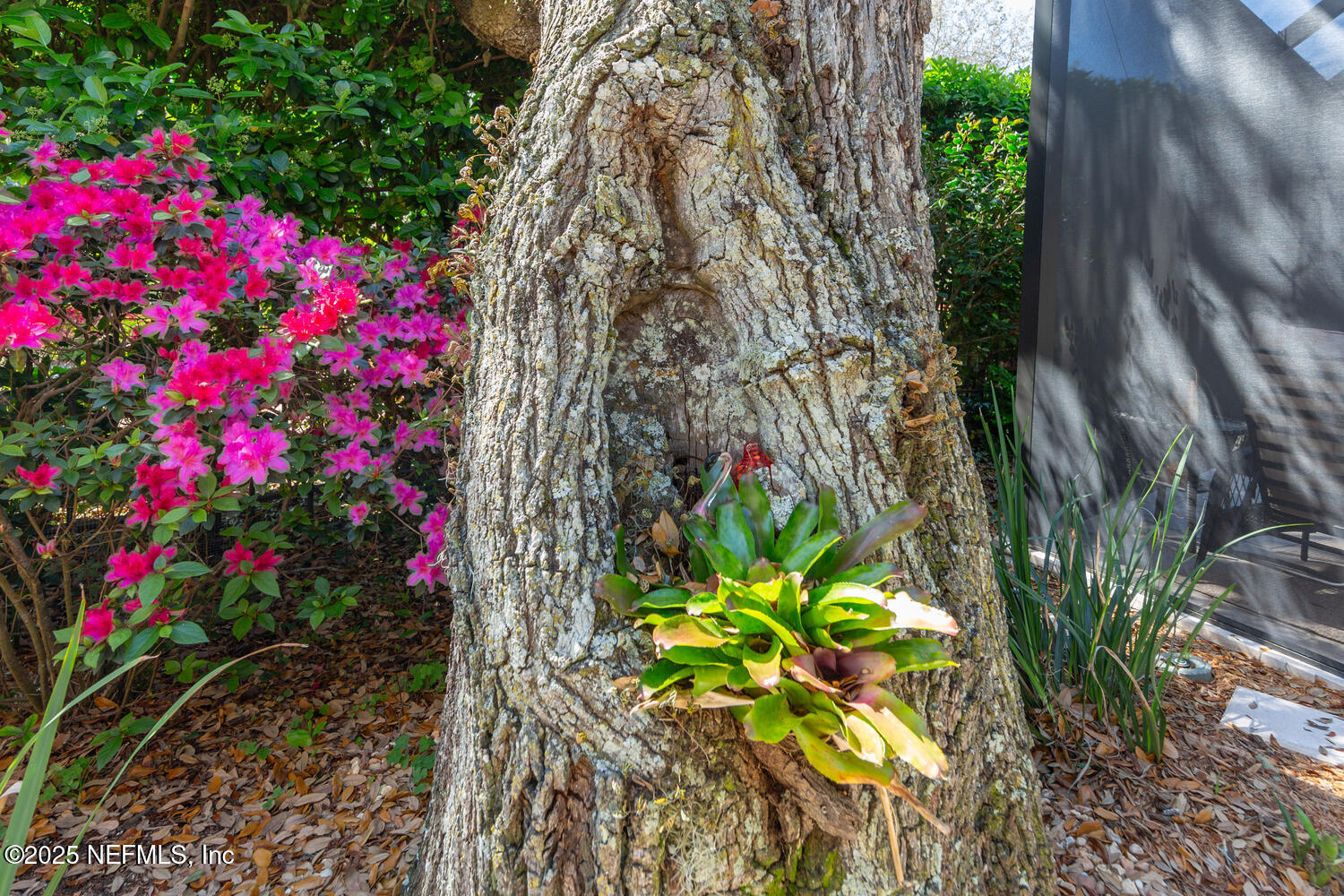 169 RIVER MARSH Drive