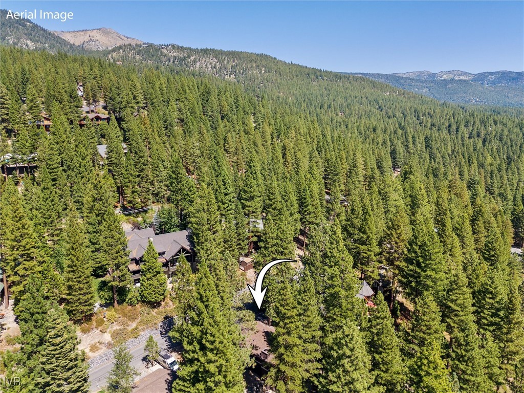 529 Silvertip Drive