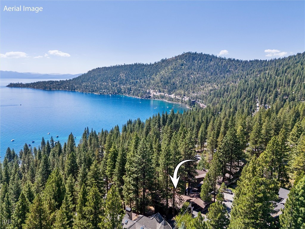 529 Silvertip Drive