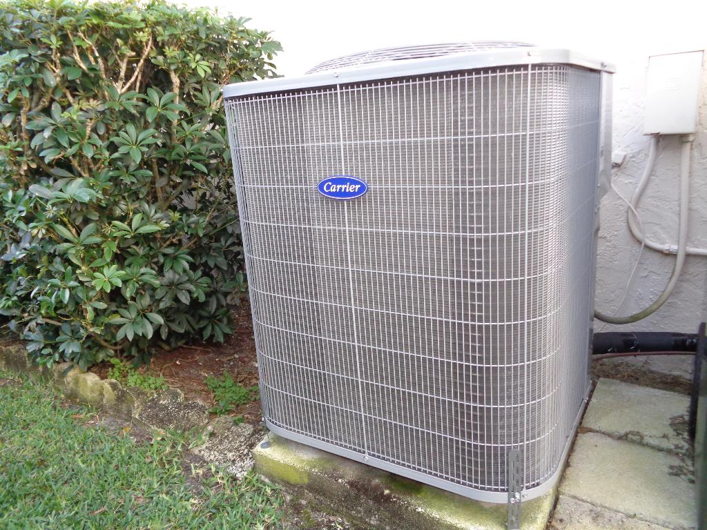 841 Lantern Tree Lane