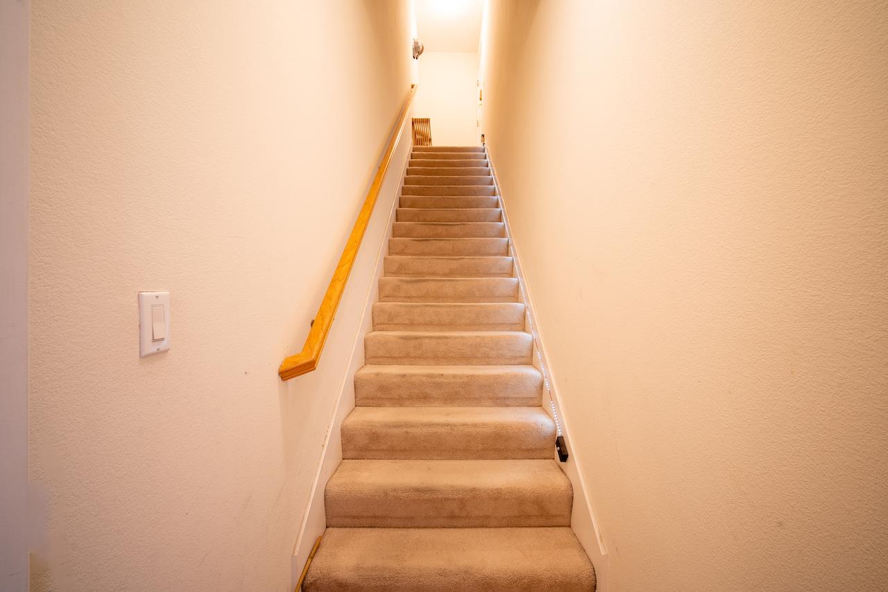 161 Cliff Swallow Court