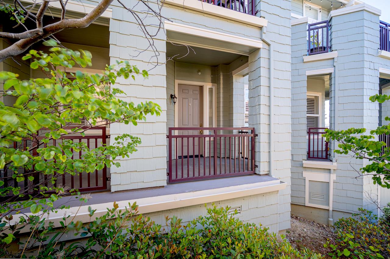 161 Cliff Swallow Court