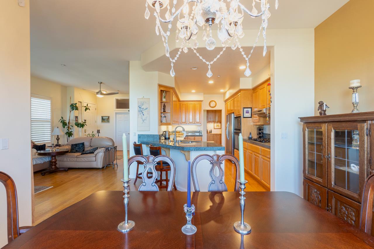 161 Cliff Swallow Court