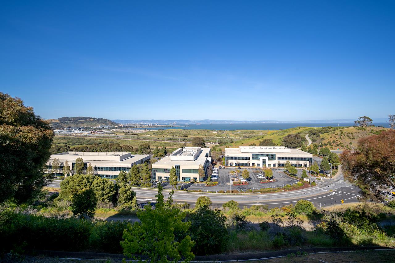 161 Cliff Swallow Court
