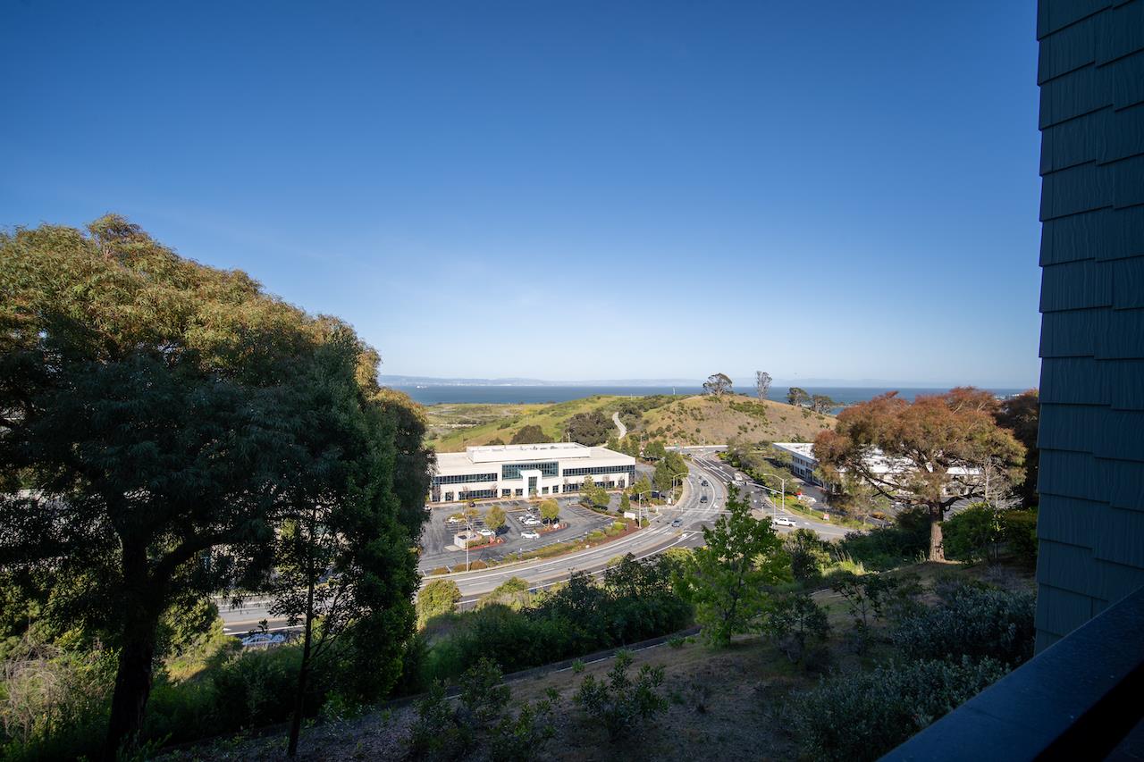 161 Cliff Swallow Court
