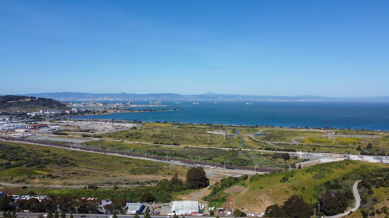 161 Cliff Swallow Court