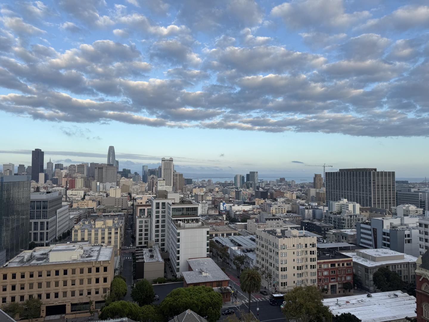 1200 Gough Street 14D