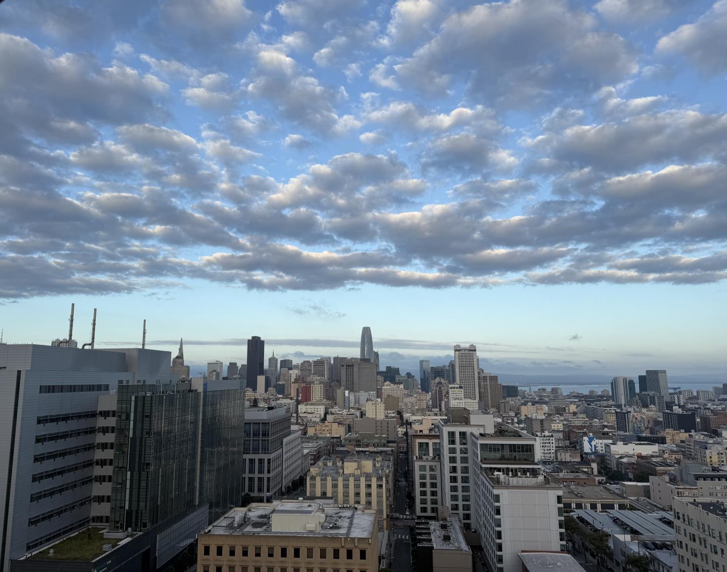 1200 Gough Street 14D