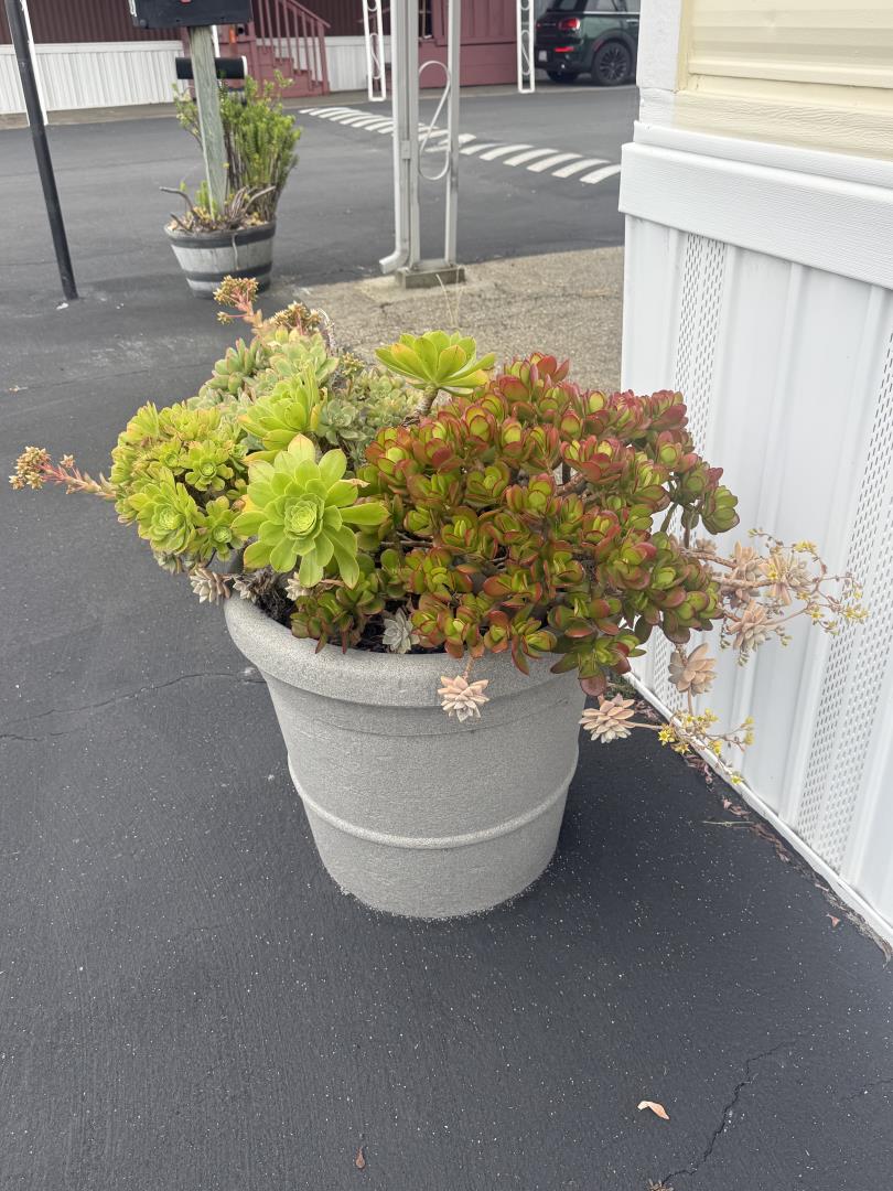 1700 El Camino Real Unit: 18-01