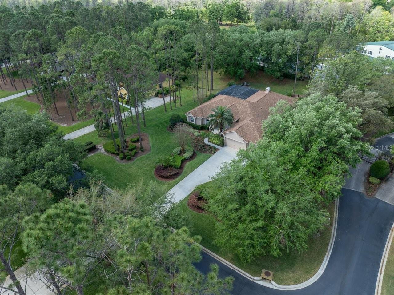428 PINE BLUFF DR